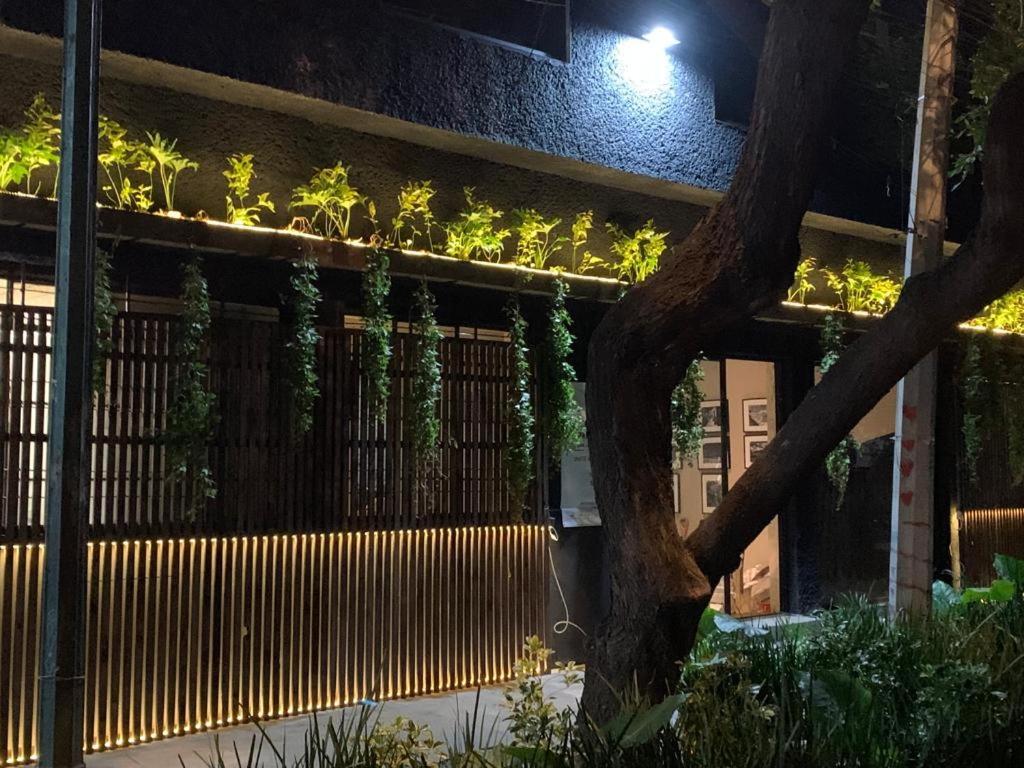 Frontera 49 Roma Norte Hostal Ciudad de México Exteriér fotografie