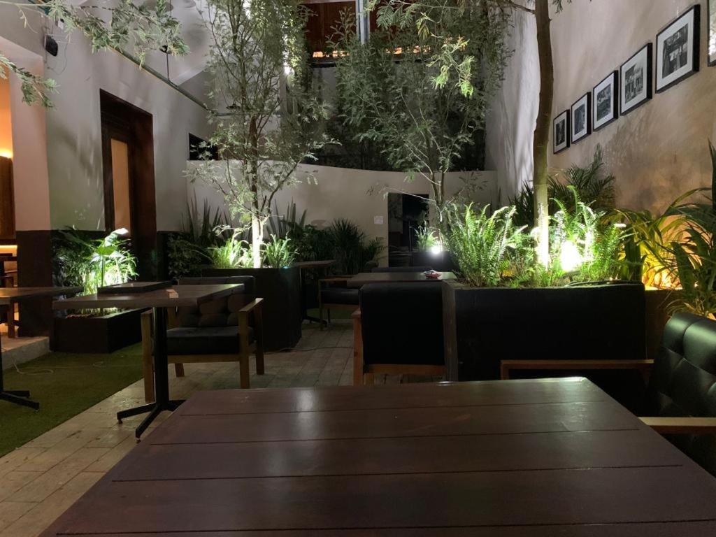 Frontera 49 Roma Norte Hostal Ciudad de México Exteriér fotografie