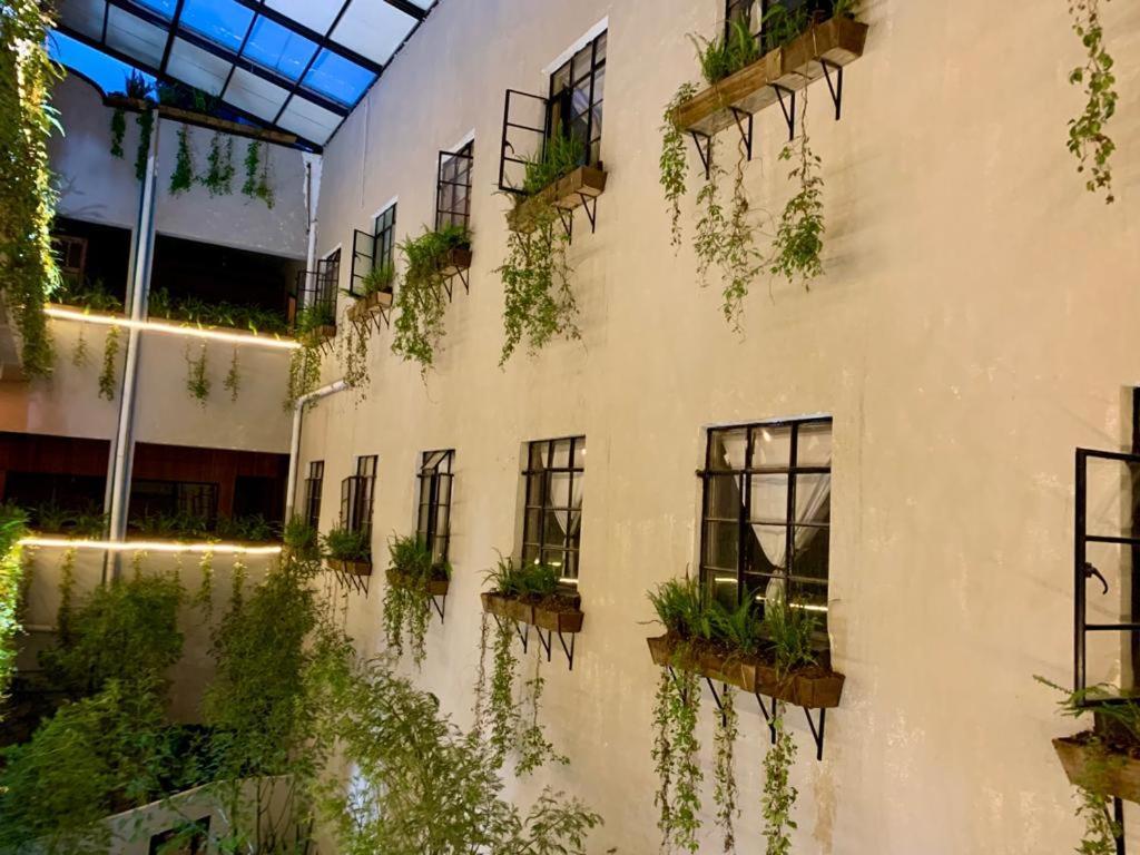 Frontera 49 Roma Norte Hostal Ciudad de México Exteriér fotografie