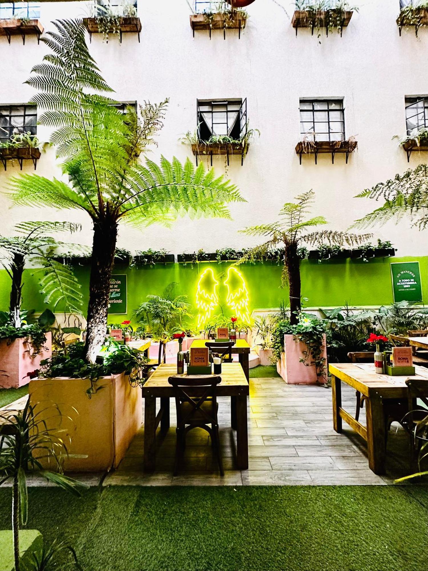 Frontera 49 Roma Norte Hostal Ciudad de México Exteriér fotografie
